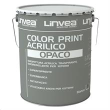 COLOR PRINT ACRILICO OPACO LINVEA B.CO 14,000LT